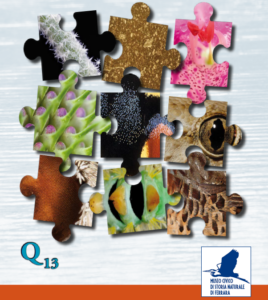 Copertina del Quaderno 13